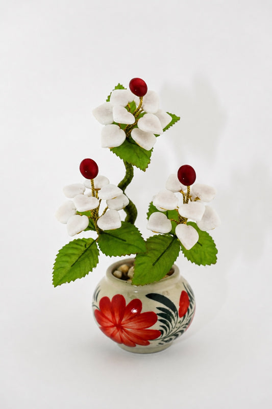 Petite Jade Garden Collection