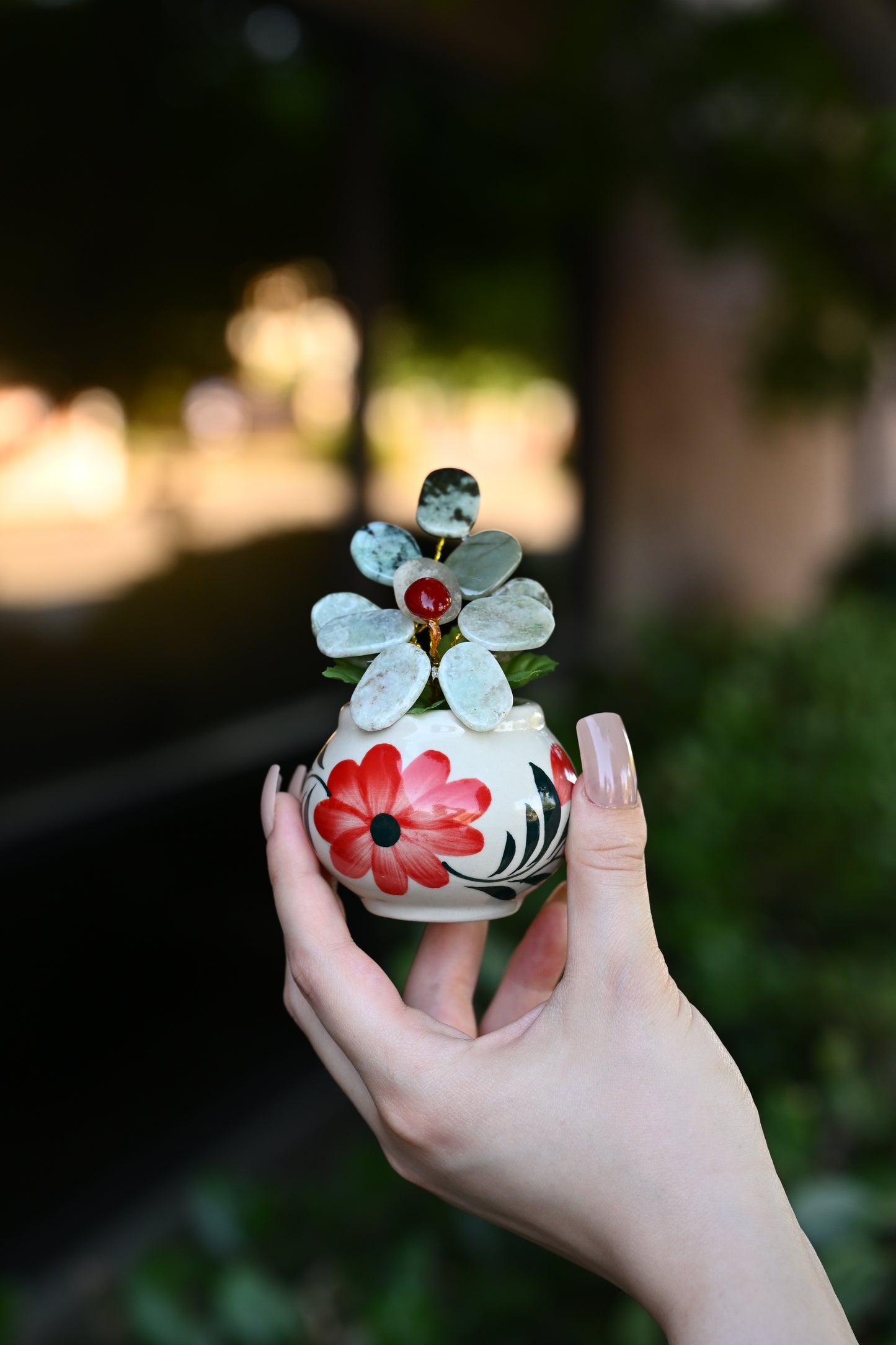 Baby Jade Plants