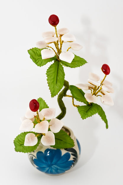 Petite Jade Garden Collection